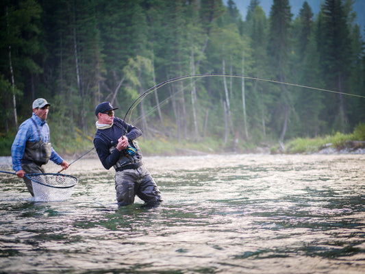 Netting Fish Properly